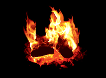 Burning Logs