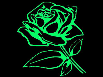 Glow in the Dark Paint