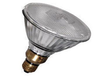 PAR 38 Bulb